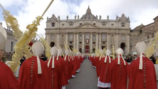 Procesión de cardenales en Domingo de Ramos