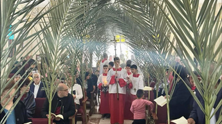 Domingo de Ramos en la parroquia de la Sagrada Familia de Gaza