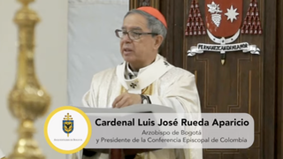 Cardenal Rueda Aparicio