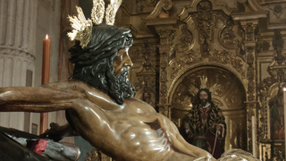 Desde la cátedra de la cruz