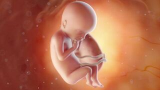 Feto 18 semanas