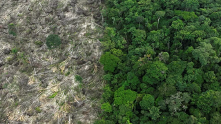 La realidad del extractivismo