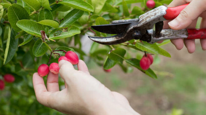 ❤ Pozo blanco del amor del hortelano.    En memoria de S. Juan de la Cruz) (I-IV)