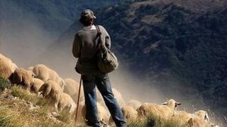 Pensar en una iglesia toda ministerial