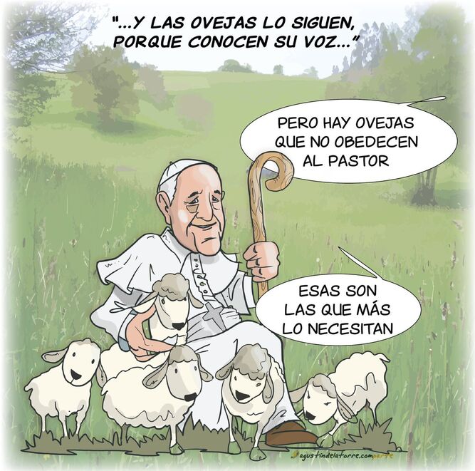'Seguid al pastor...'