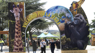 Entrada a esta iniciativa de los focolares