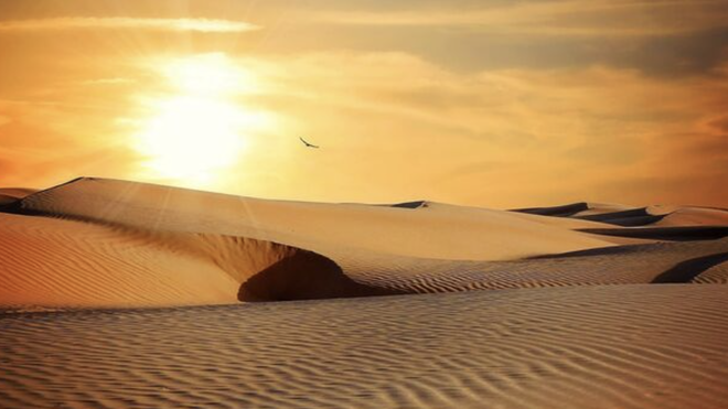 Maestros del desierto