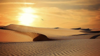 Maestros del desierto