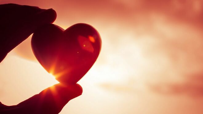 Amor