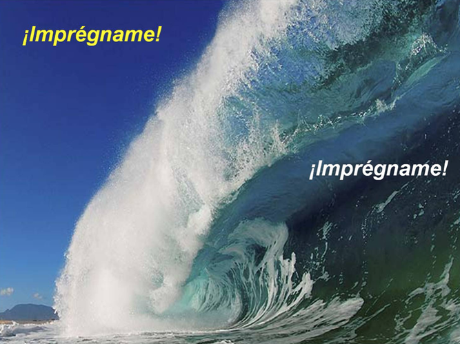 Imprégname
