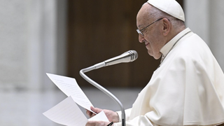 El papa, en la audiencia