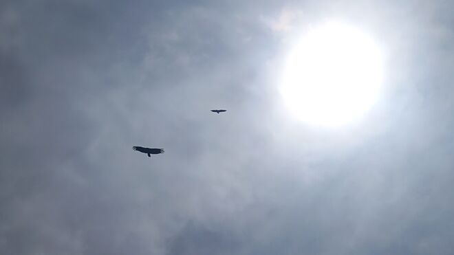 43 VII Domingo de Pascua: La Ascensión del Señor