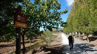 El camino de Levante