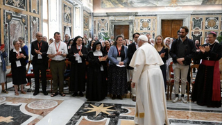 El papa en la audiencia