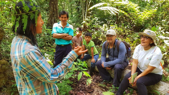 Sin fronteras ni banderas: fraternidad universal (Domingo de la Ascensión)