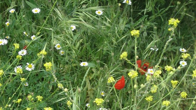 02 Año de oración: Amistad con  Dios