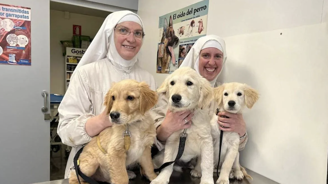 Las clarisas de Belorado, expedientadas por abrir un criadero de perros sin licencia