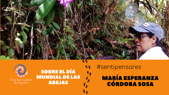 Sobre el día mundial de las abejas