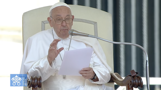 El Papa, durante la catequesis en la audiencia