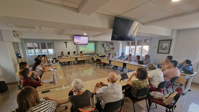 Movimiento de Profesionales Cristianos