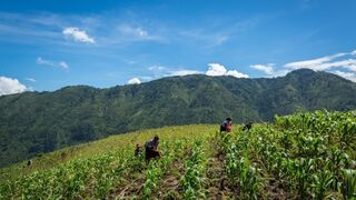 Manos Unidas, en el Día Mundial del Medio Ambiente