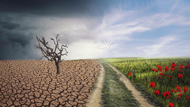 El 9 votamos a favor de la casa común, por la justicia ecológica y climática