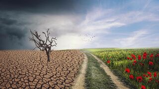 El 9 votamos a favor de la casa común, por la justicia ecológica y climática