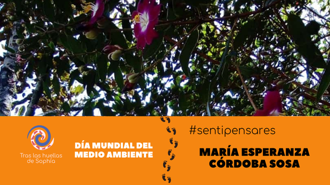 Día mundial del medio ambiente