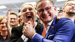 Dirigentes del AfD celebran su gran avance en las elecciones europeas