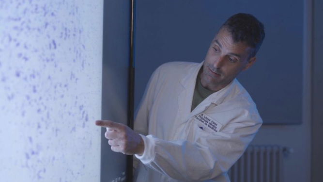 Rubèn López Vales lidera el grupo de Investigación de Neuroplasticidad y Regeneración de la Universitat Autònoma de Barcelona