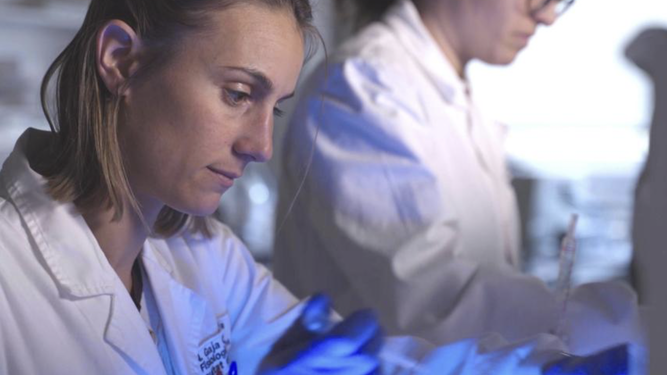 Investigadoras del grupo de Investigación de Neuroplasticidad y Regeneración de la Universitat Autònoma de Barcelona