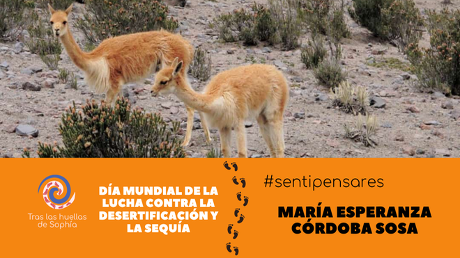 Día mundial de la lucha contra la desertificación y la sequía