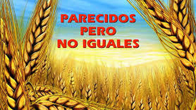 Aprendamos a valorar lo que merece la pena