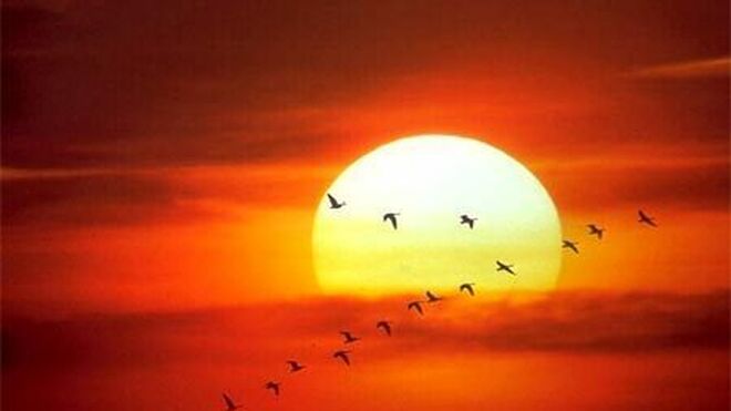 Amanecer