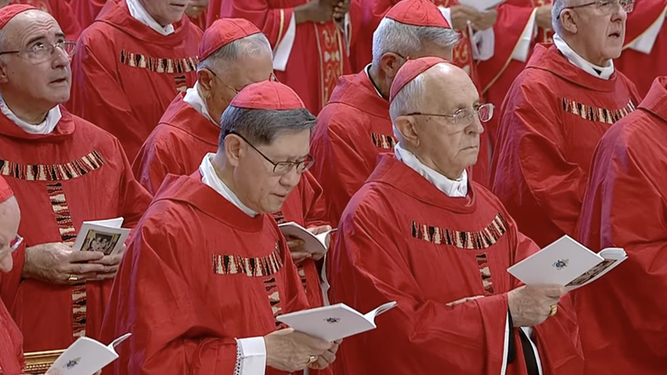 Cardenales en San Pedro