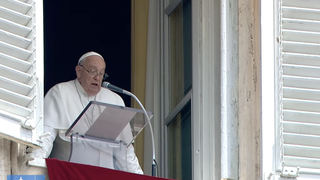 Francisco, durante el rezo del Angelus