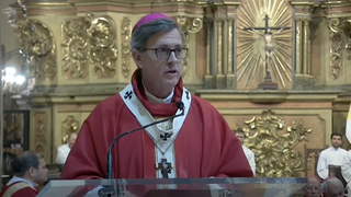 García Cuerva durante su homilía con motivo del Día del Papa