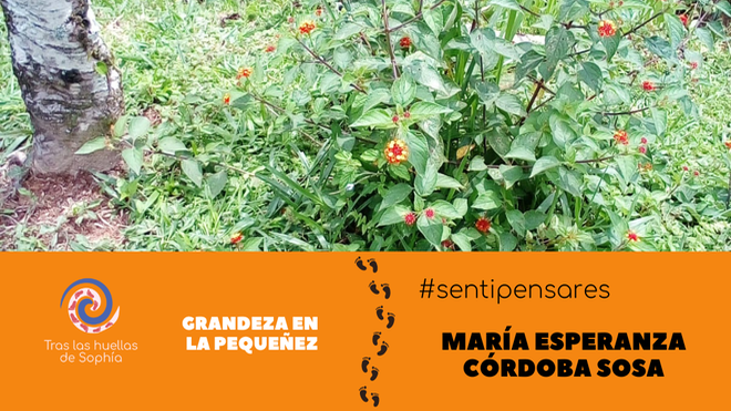 Grandeza en la pequeñez