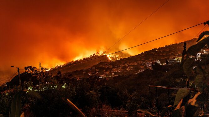 Incendio forestal