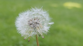 "Venid vosotros solos a un lugar desierto y descansad un poco"
