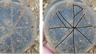 El Crismón de Mondoñedo