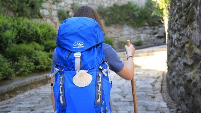 Camino de Santiago