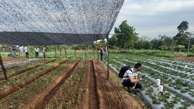 Proyecto de la Universidad Loyola