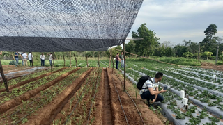 Proyecto de la Universidad Loyola