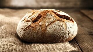 Creer en Jesús “pan de vida” es reconocer en sus palabras y obras la presencia de Dios entre nosotros
