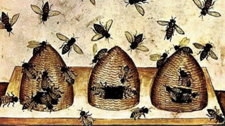 La fábula de las abejas