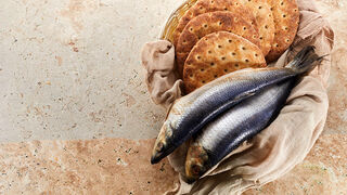 XVIIIº Domingo del Tiempo Ordinario