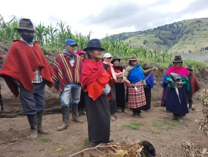 Proyecto Ecuador