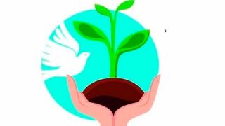 Mensaje para la Jornada de Oración por el Cuidado de la Creación