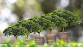 Economía y desarrollo sostenible